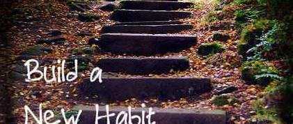 build a new habit in 28 days by stacy chaflin